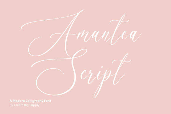 Amantea Script: A Graceful Typeface for Modern Branding