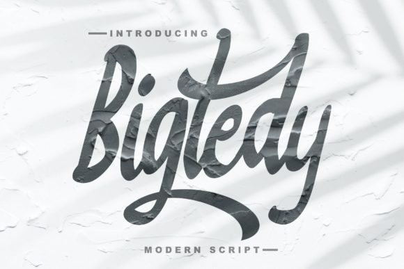 Bigtedy Script: A Handwritten Font with Timeless Character