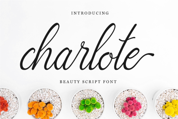 Charlote Script: A Fresh Approach to Authentic Typography