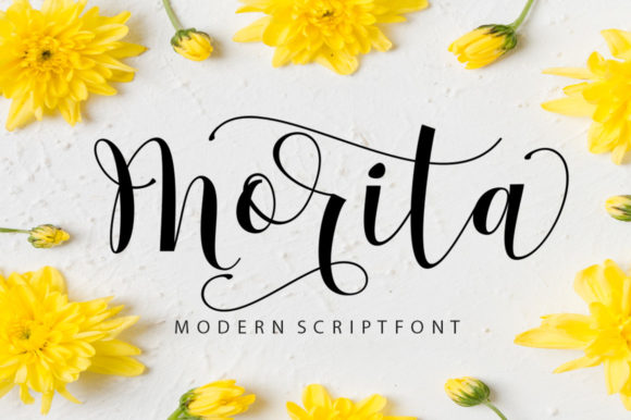 Discover the Elegance of Morita Script