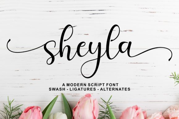 Sheyla Script: A Modern Typeface for Authentic Connection