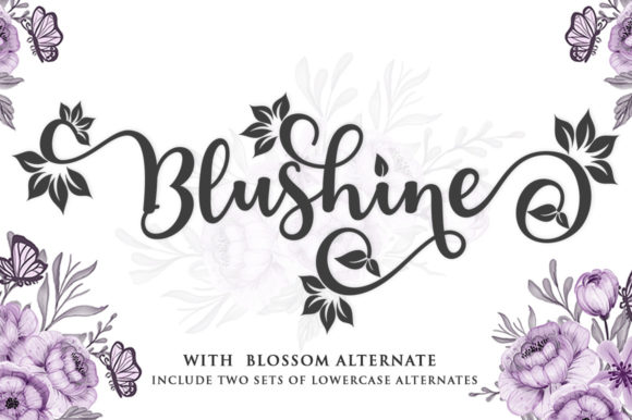 Why Blushine Script Feels Like Your New Favorite Font